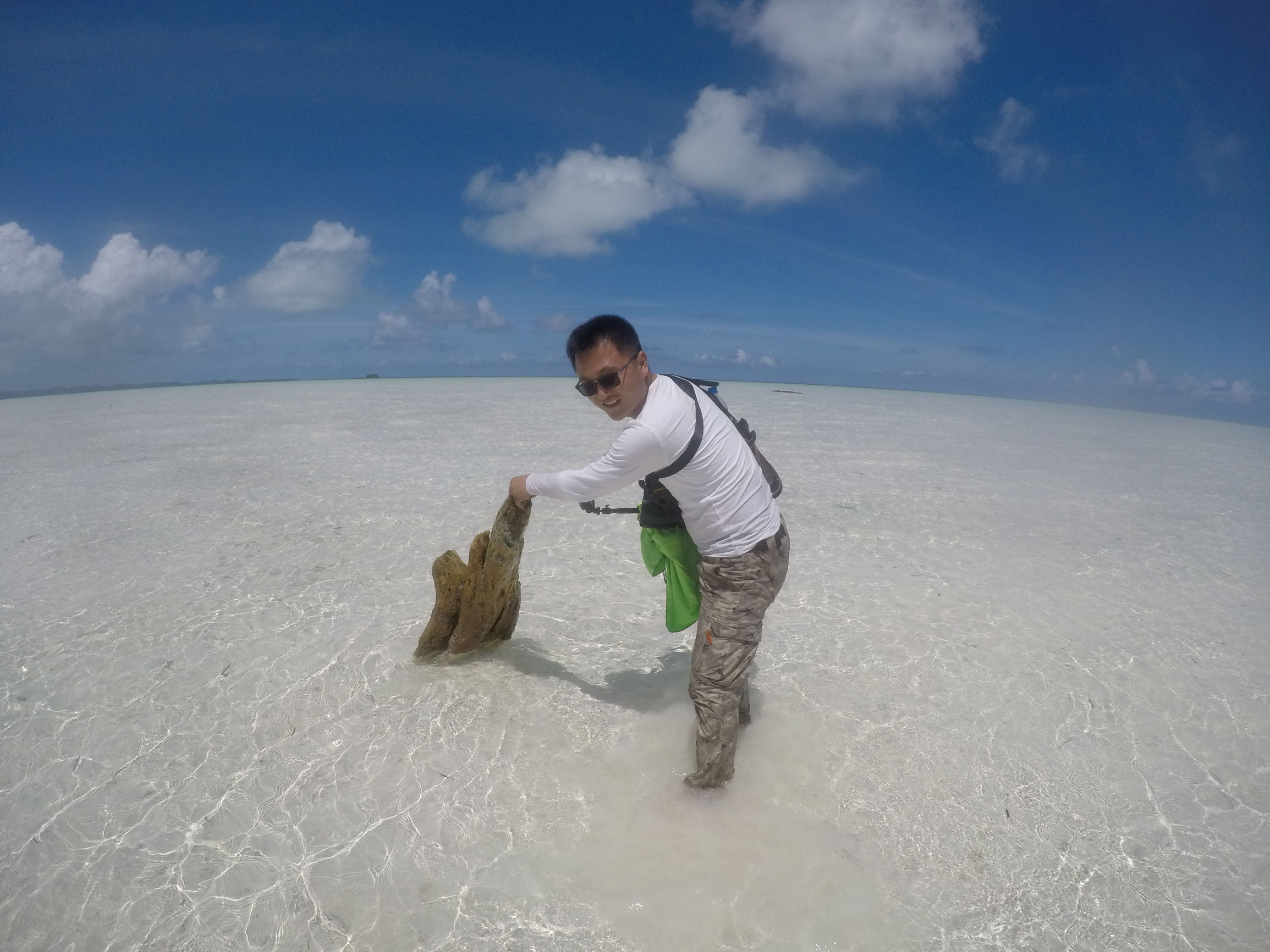 中国护照落地签或者免签的国家,落地签和免签的国家