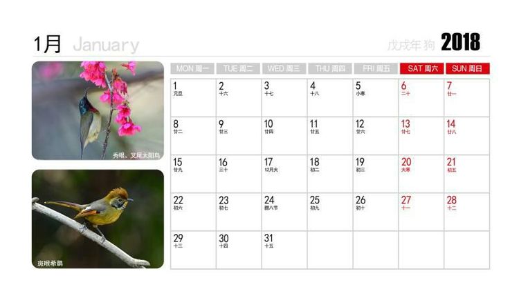 2018年鸟趣日历，太精美了，人手一份，值得收藏！