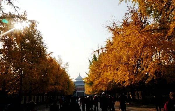 北京旅游三天详细攻略最新,北京旅游攻略探索京城的美景