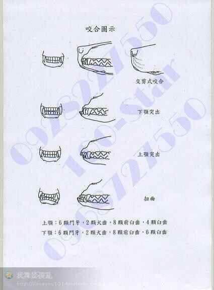 拉布拉多犬体重10斤有几个月了,拉布拉多的身高体重标准是多少