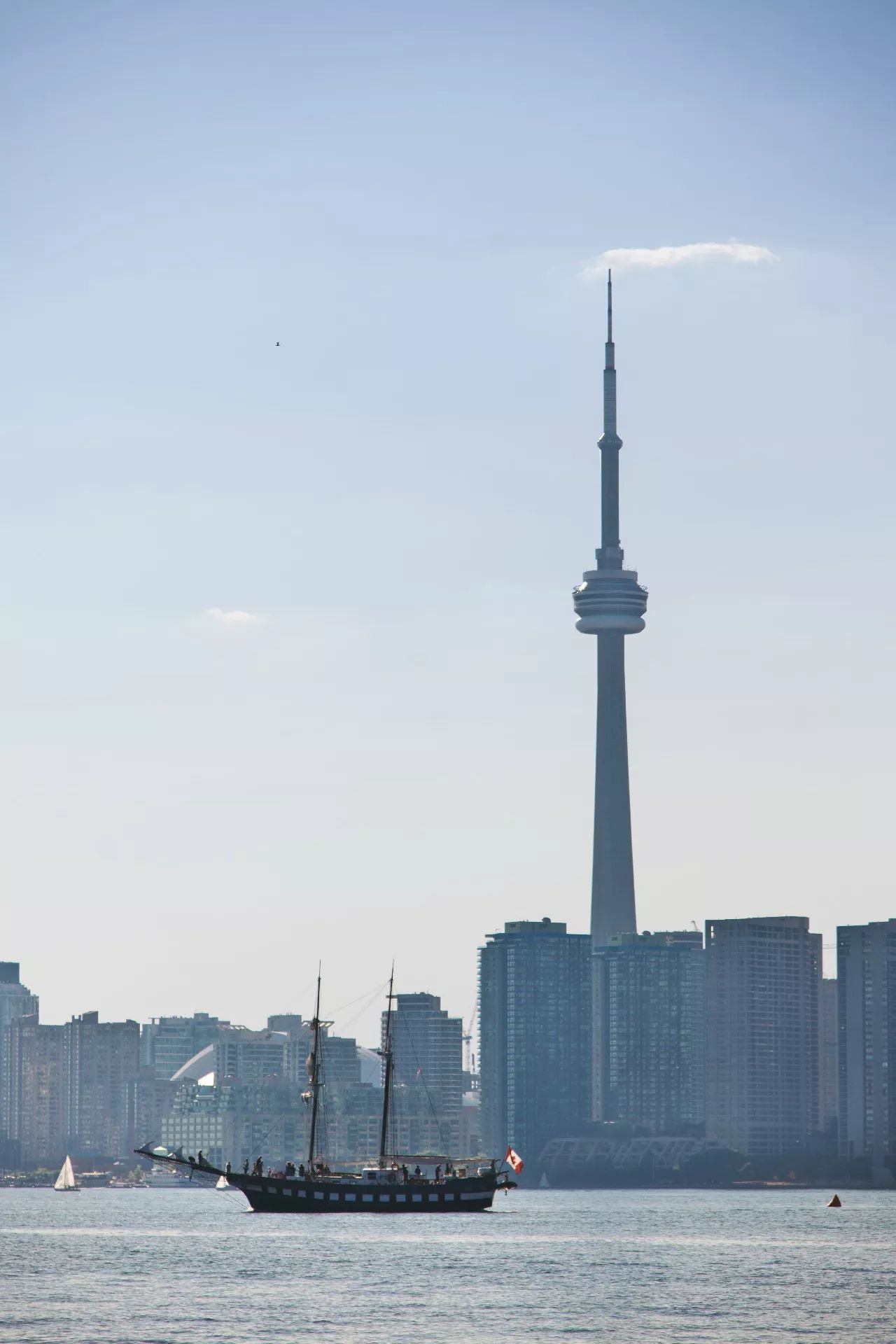 双十一规则太复杂？多伦多教你一个解决方案……