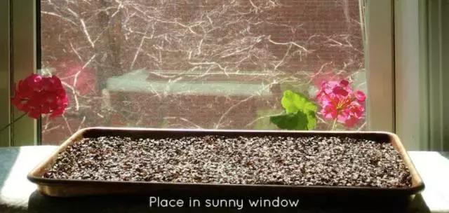 选对枕头，包你一觉睡到大天亮｜双11扫货