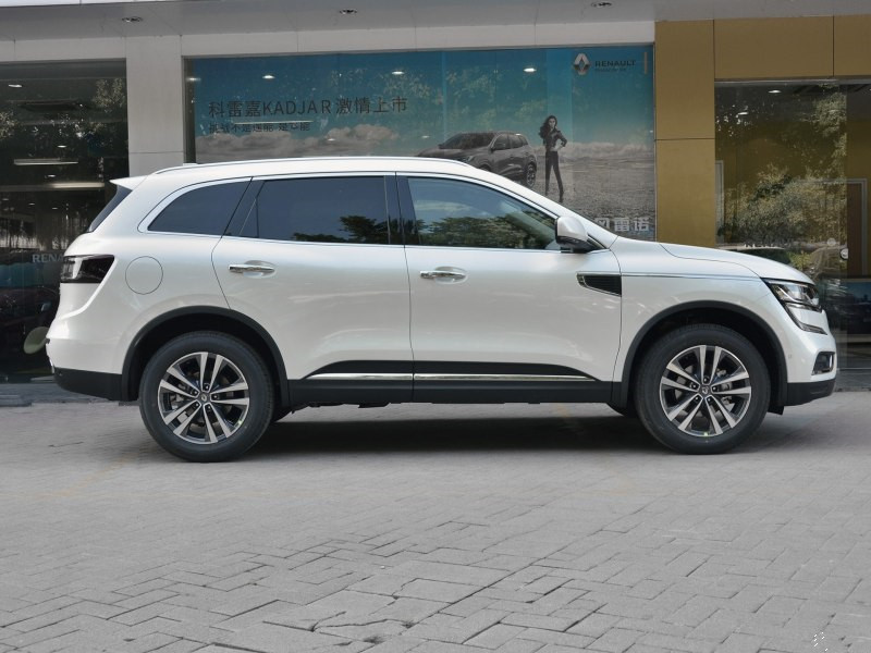 法国混血儿爸爸中国人,雷诺科雷傲正脸