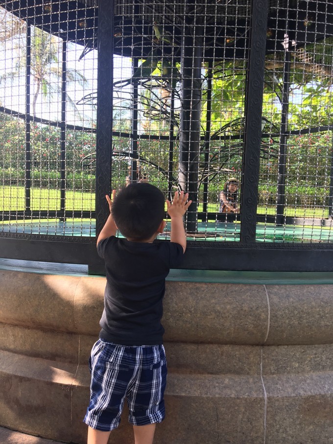 带孩子出发三亚一日游,海南三亚旅游攻略自由行最佳线路