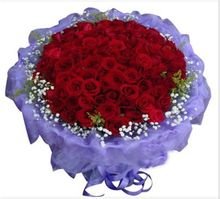 玫瑰花语11朵代表什么,玫瑰花语图片大全