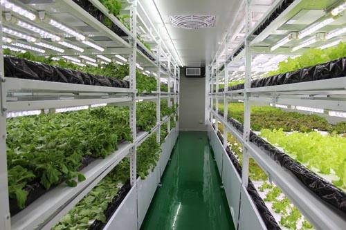 手把手教你创意农业,千万别小看创意农业