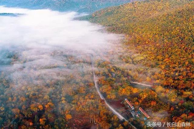 白山市老四季,长白山冬景