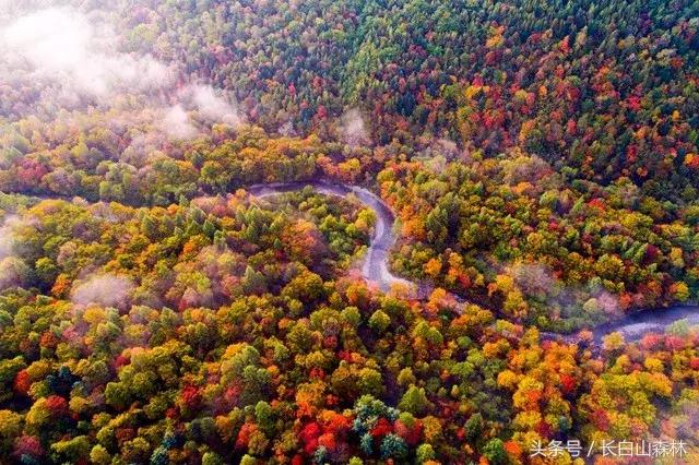 白山市老四季,长白山冬景