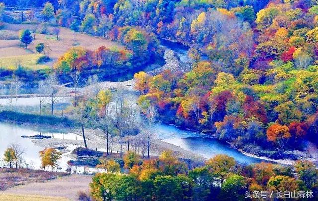 白山市老四季,长白山冬景