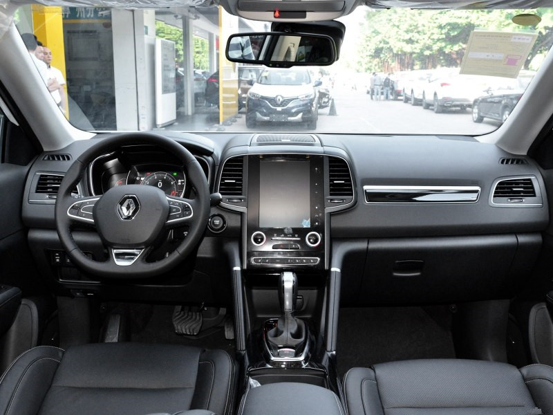 法国混血儿爸爸中国人,雷诺科雷傲正脸