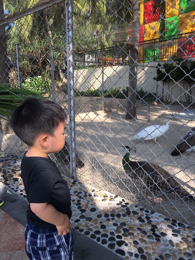 带孩子出发三亚一日游,海南三亚旅游攻略自由行最佳线路