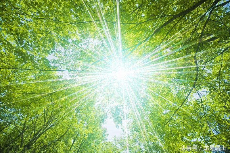 命理简批-农历1973年4月28日午时乾造（四川攀枝花米易）