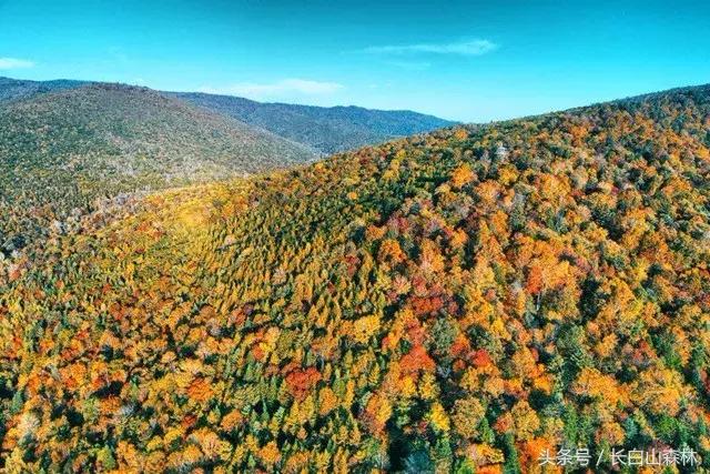 白山市老四季,长白山冬景