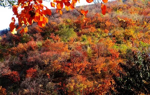 北京旅游三天详细攻略最新,北京旅游攻略探索京城的美景