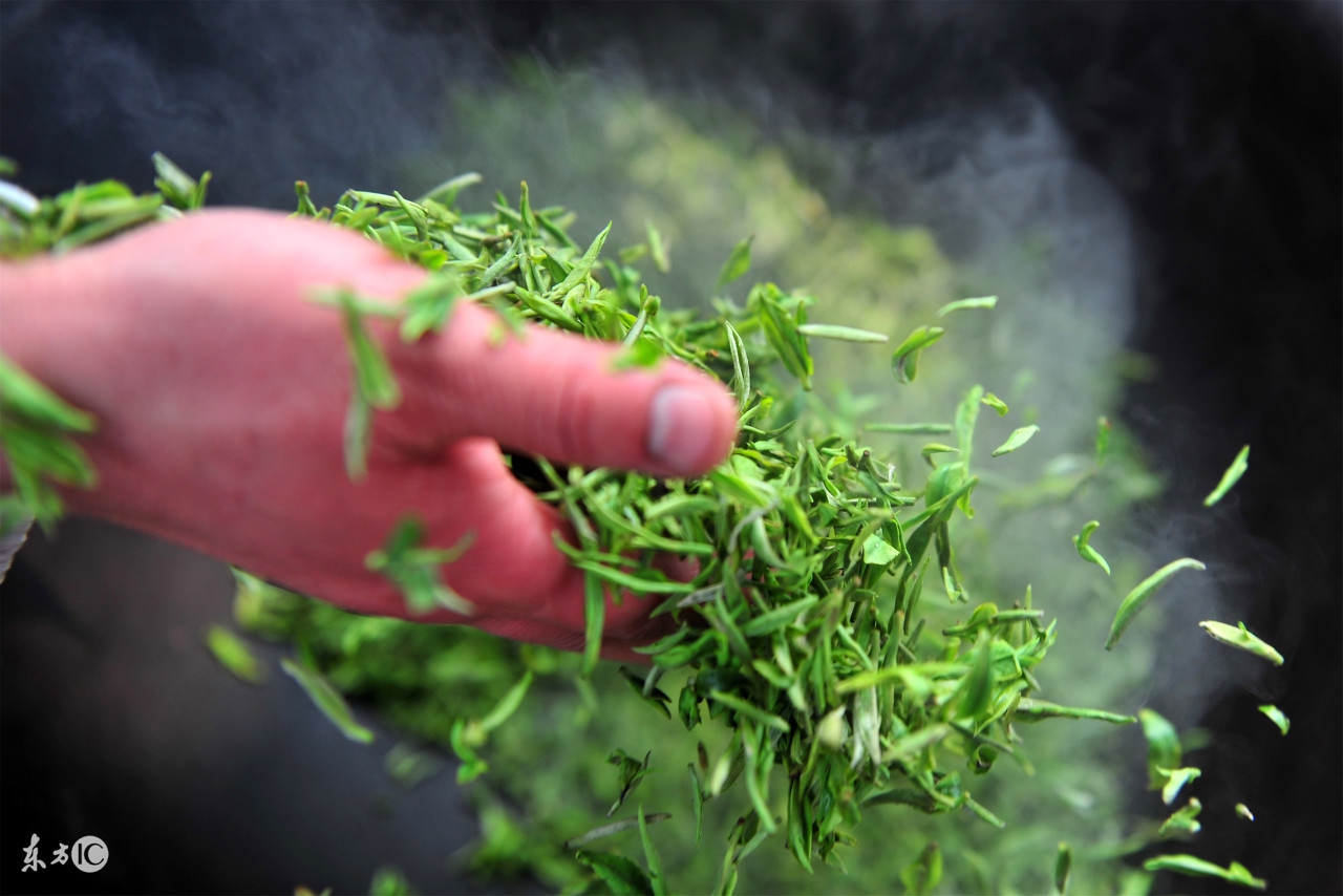 绿茶的杀青和干燥方法有什么不同,手工绿茶杀青怎样保留茶香