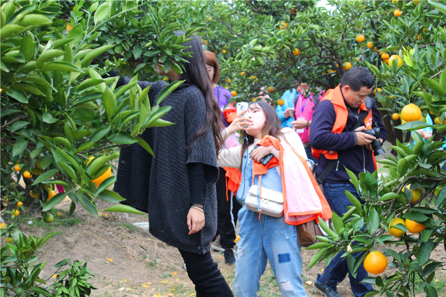 台州一日游的绝佳去处,台州旅游小众秘境