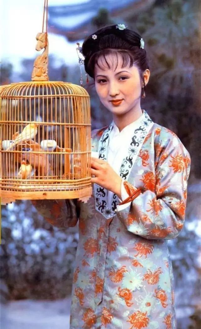 红楼梦的红梦是什么意思,红楼梦具体说的是什么