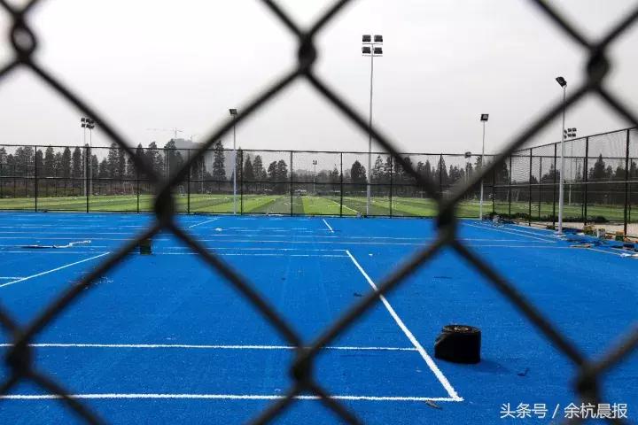 临平体育场最近有什么活动,临平运动中心