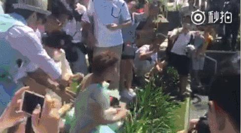 隆诗VS包包，两场在巴厘岛举办的婚礼，为什么评价差这么多？