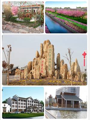 春天适合去哪踏青盐城,盐城春暖花开一日游攻略