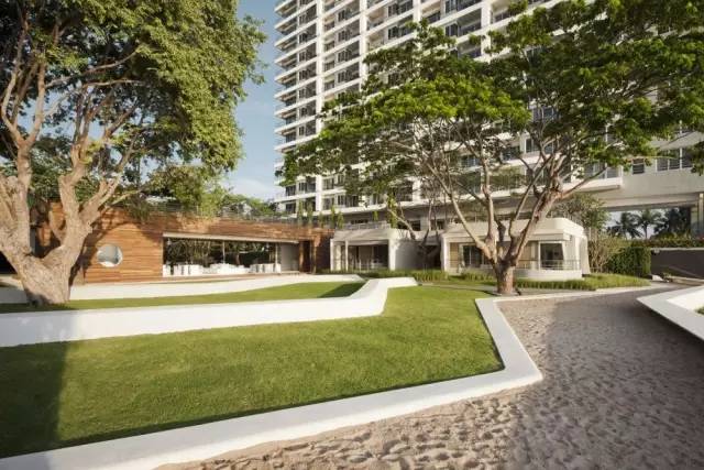 靠谱的景观草坪,露台人工景观草坪