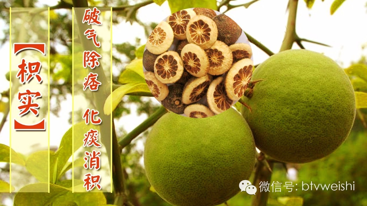 北京卫视养生堂活血化瘀三宝,养生堂名老中医调脾胃