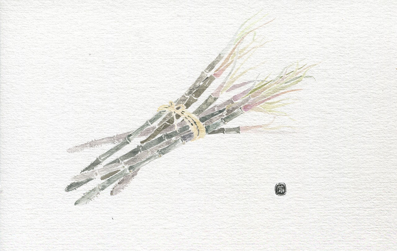 我是懒--我会静静的画画一辈子