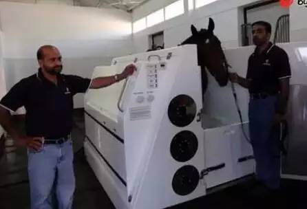 世界上最贵的比赛奖金,全世界最贵的一场速度比赛