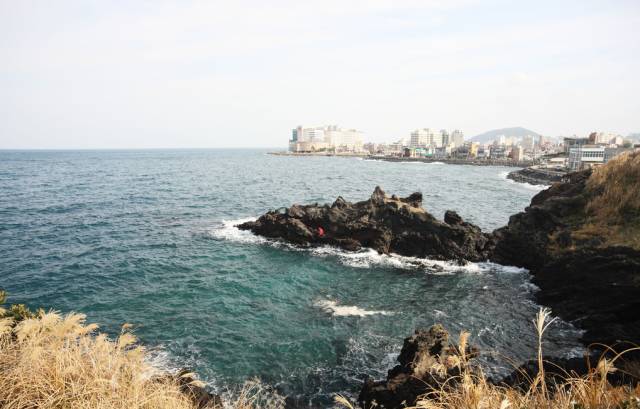 青岛市城事,岛城城事