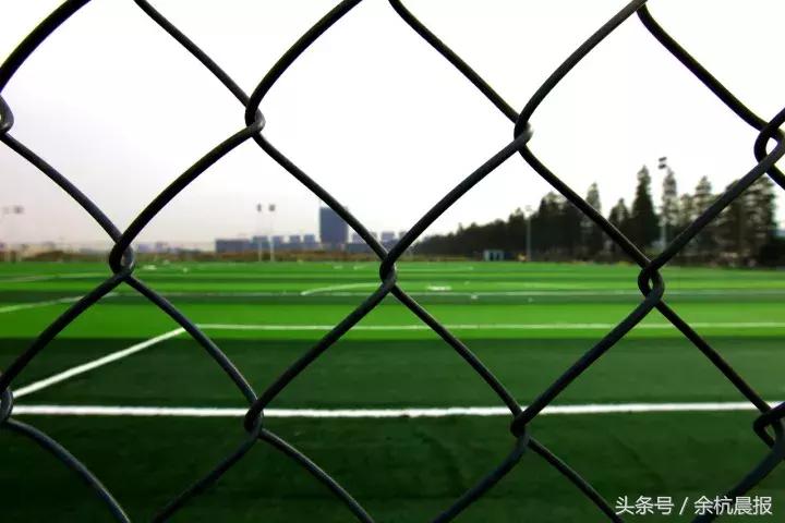 临平体育场最近有什么活动,临平运动中心