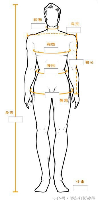 量体裁衣制版教程,服装定制量体教程