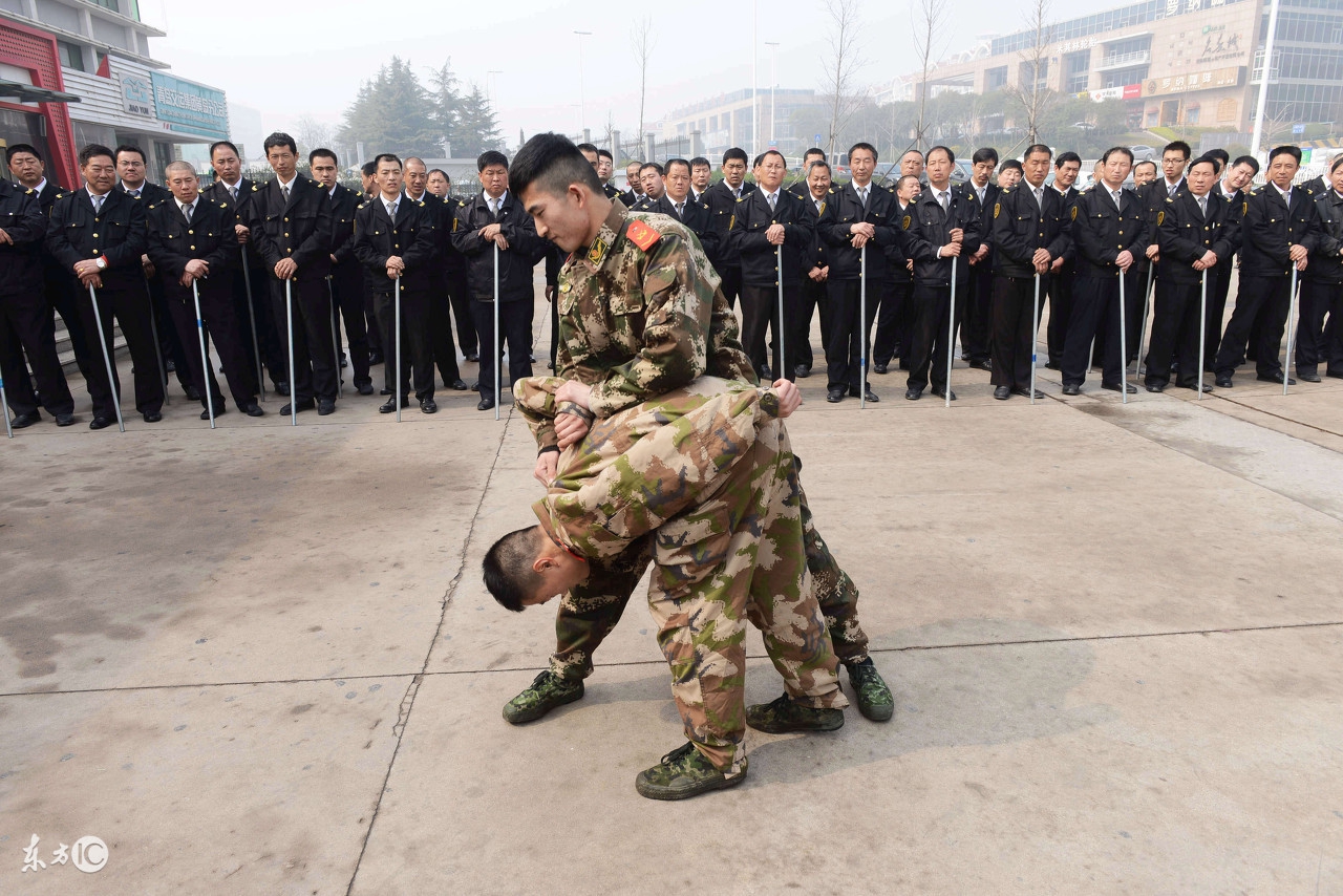 严手母子拳实战套路图解,母子拳擒拿术视频