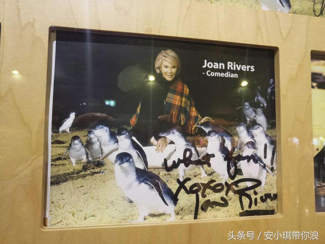 墨尔本四天三晚怎样玩,慢游全世界墨尔本