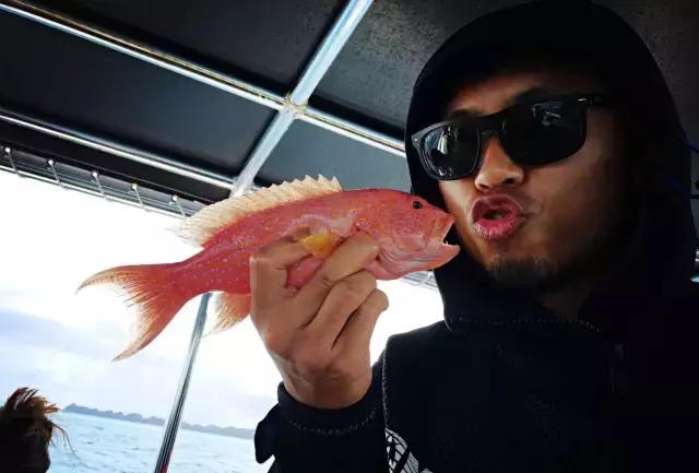 帕劳旅游攻略详解,帕劳旅游攻略六天