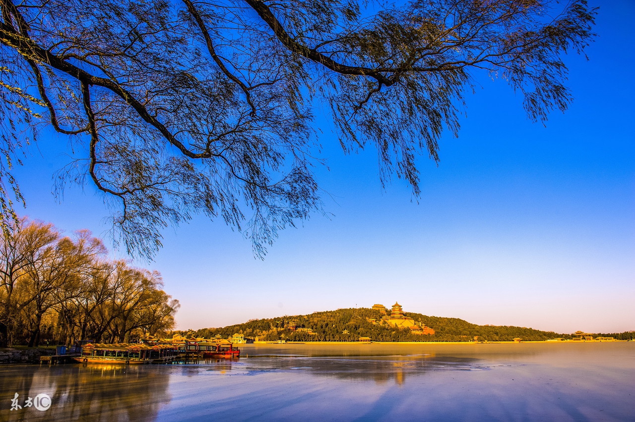 2030本命年生肖狗运势,生肖狗女本命年应该注意什么