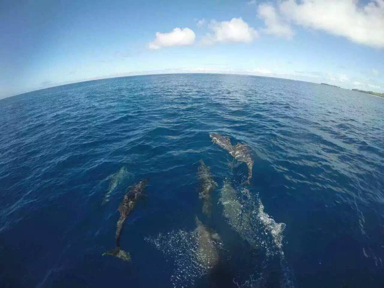 帕劳旅游攻略详解,帕劳旅游攻略六天