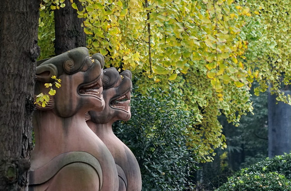 青羊宫是不是中国最古老的道观,夏游川西第一道观青羊宫