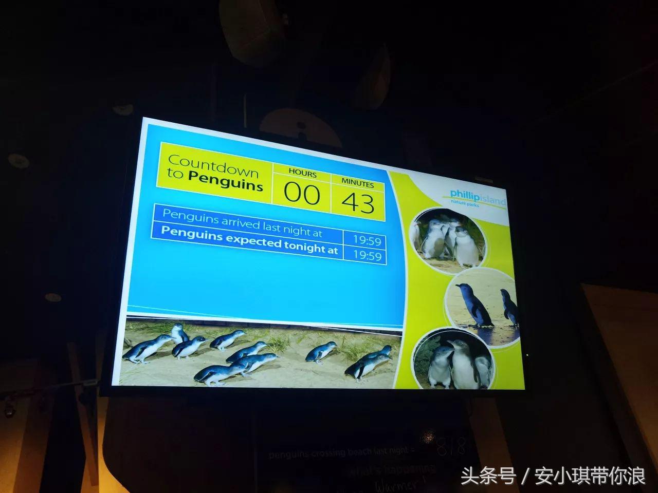 墨尔本四天三晚怎样玩,慢游全世界墨尔本