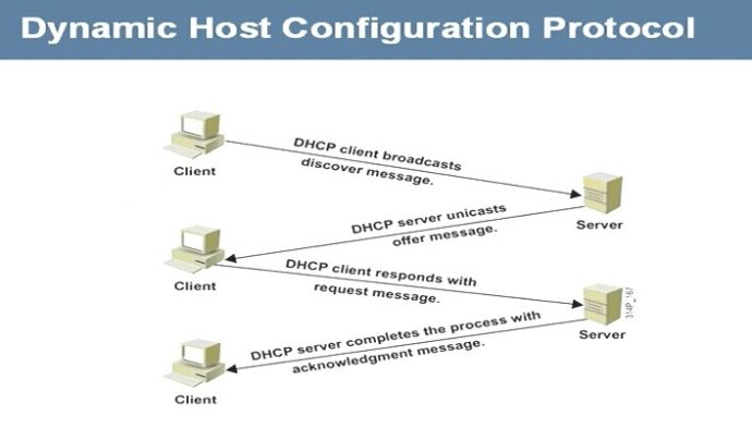 动态主机配置协议的含义,动态主机配置协议的功能