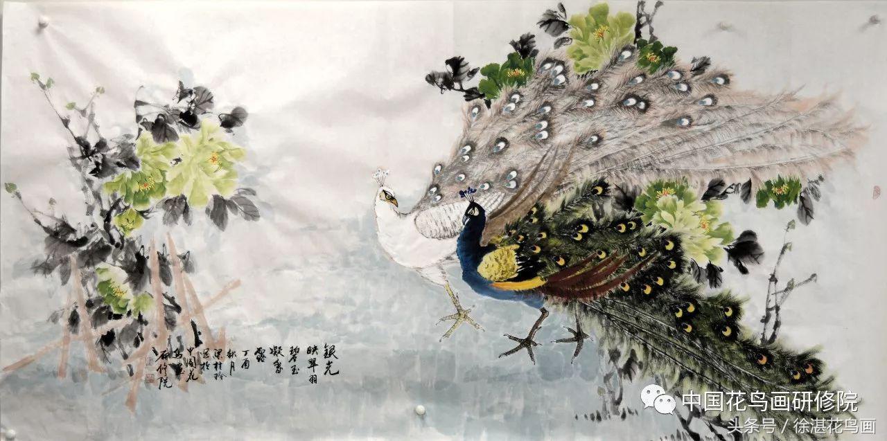 杜金辉老师教你画牡丹,梁桂玲牡丹孔雀画法