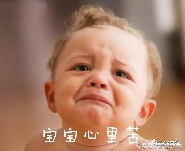 葛秋儿的紫砂壶多少钱一把,手工紫砂壶一般是多少钱一把