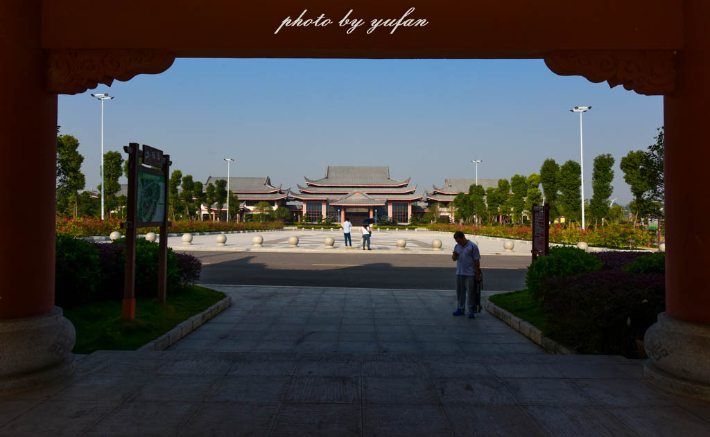 实拍农村常见38种中草药植物,我们身边的中药花草有哪些