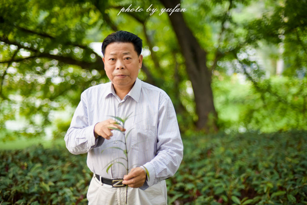 实拍农村常见38种中草药植物,我们身边的中药花草有哪些