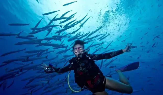 帕劳旅游攻略详解,帕劳旅游攻略六天