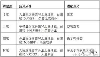 30秒看懂白带报告,怎么看懂白带常规abc