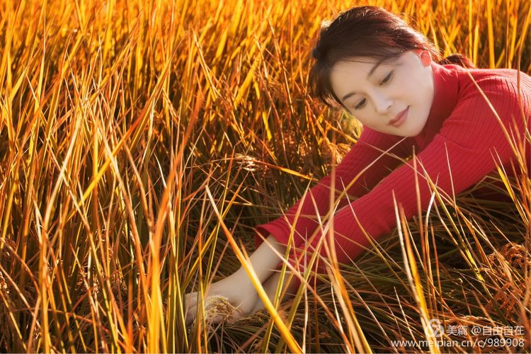 十里稻花香的全诗,十里稻花香的上一句