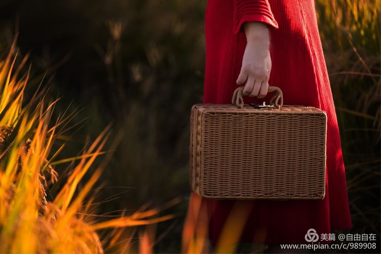 十里稻花香的全诗,十里稻花香的上一句