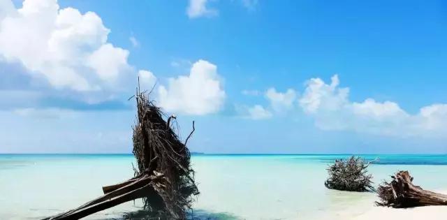 帕劳旅游攻略详解,帕劳旅游攻略六天