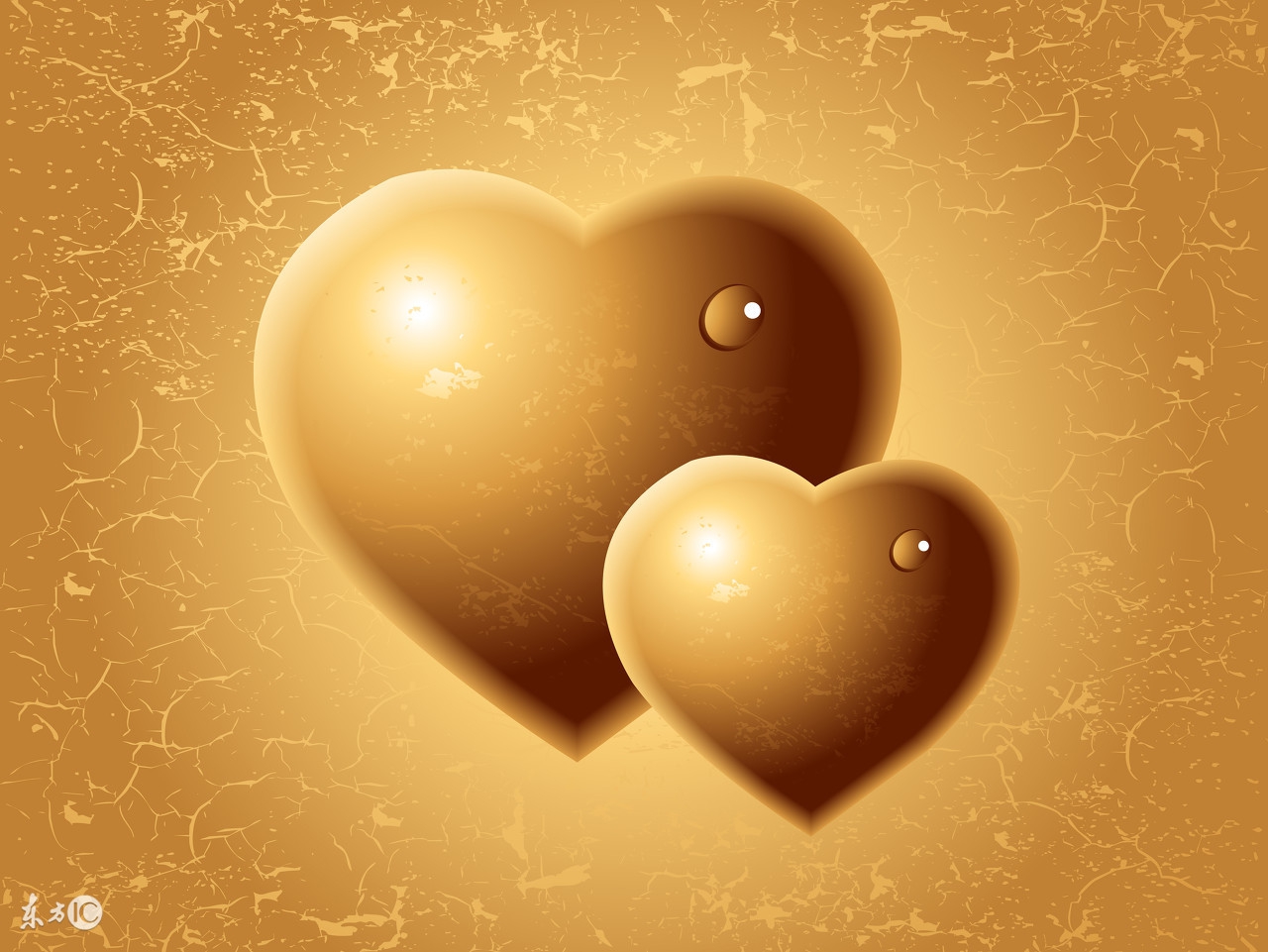 大型观赏鱼淡水鱼类大全,淡水凶猛鱼类观赏鱼推荐