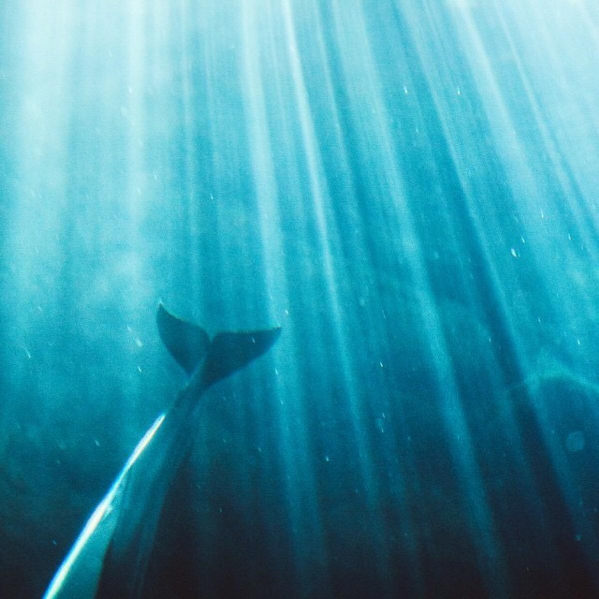 微信相册封面图片霸气励志,微信相册封面图片尺寸是多少